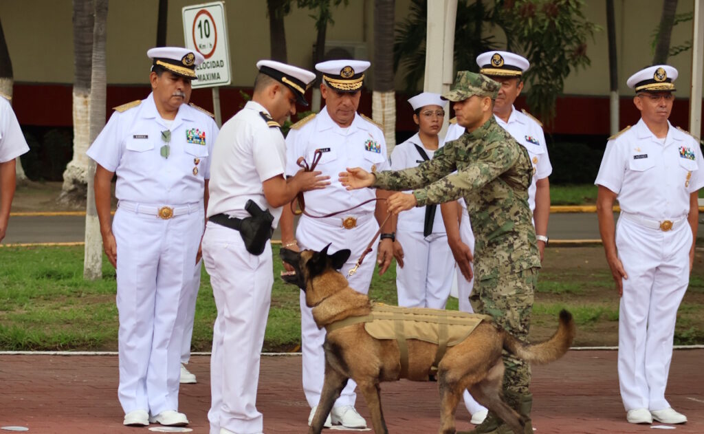 Adiós a ‘Hermes’: la Marina reconoce trayectoria de binomio canino en Manzanillo