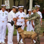 Adiós a ‘Hermes’: la Marina reconoce trayectoria de binomio canino en Manzanillo