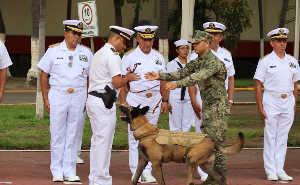 Adiós a ‘Hermes’: la Marina reconoce trayectoria de binomio canino en Manzanillo Adiós a ‘Hermes’: la Marina reconoce trayectoria de binomio canino en Manzanillo