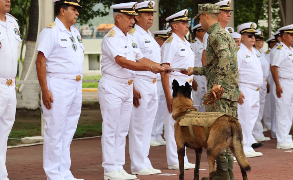 Adiós a 'Hermes': la Marina reconoce trayectoria de binomio canino en Manzanillo - hermes-binomio-canino-marina-3-1024x631