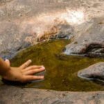 Identifican en Tanzania una nueva especie de dinosaurios de 240 millones de años