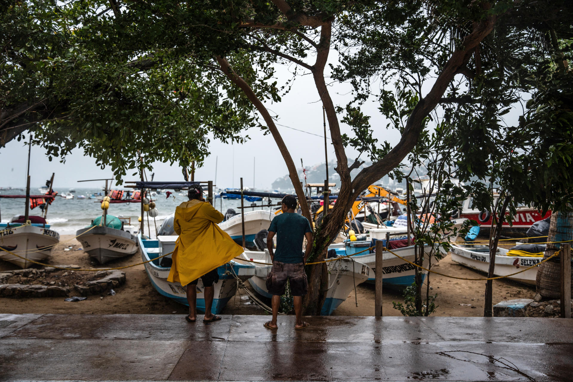 Clima para este viernes: lluvias intensas en cuatro estados y oleaje elevado por el huracán Polo