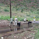 Mantienen activo Plan DN-III-E en Sonora tras el impacto de “Polo”