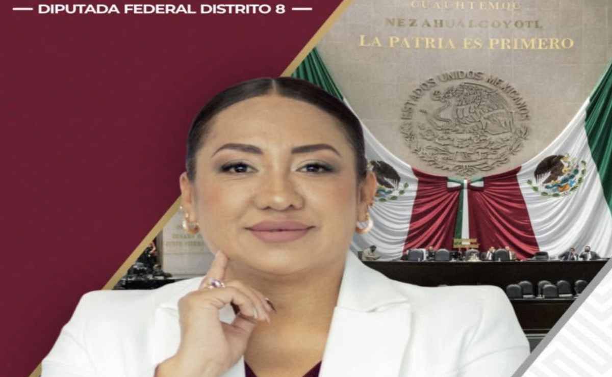 Muere Anay Beltrán Reyes, diputada federal de Morena por Tultitlán
