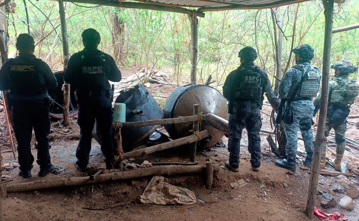 Inhabilitan tres narcolaboratorios en Guerrero; elaboraban metanfetamina