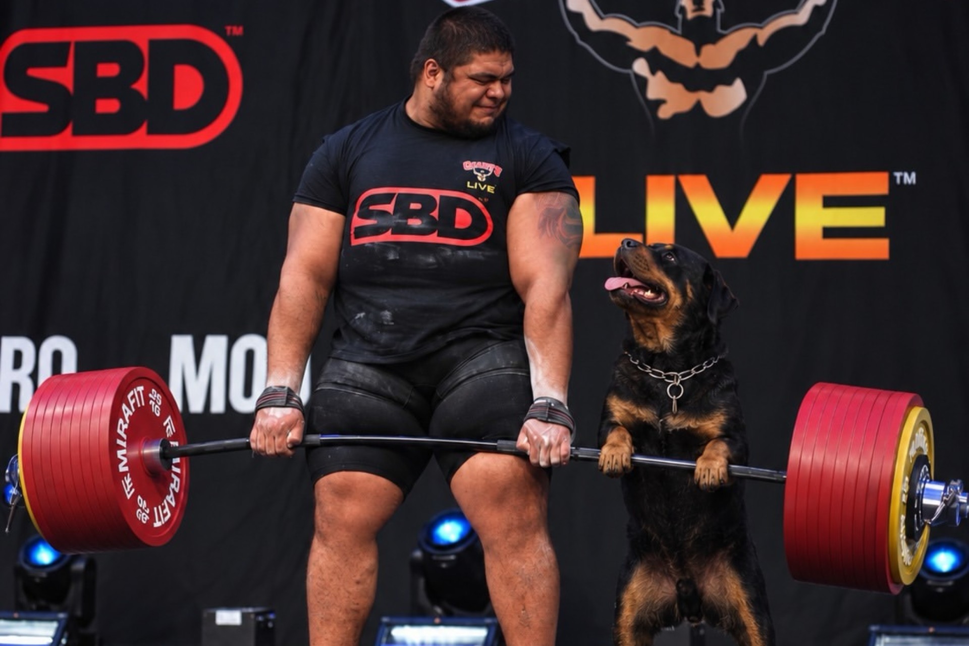 Video: Mexicano Raúl Flores impone nuevo récord de peso muerto al levantar 511 kilos Video: Mexicano Raúl Flores impone nuevo récord de peso muerto al levantar 511 kilos