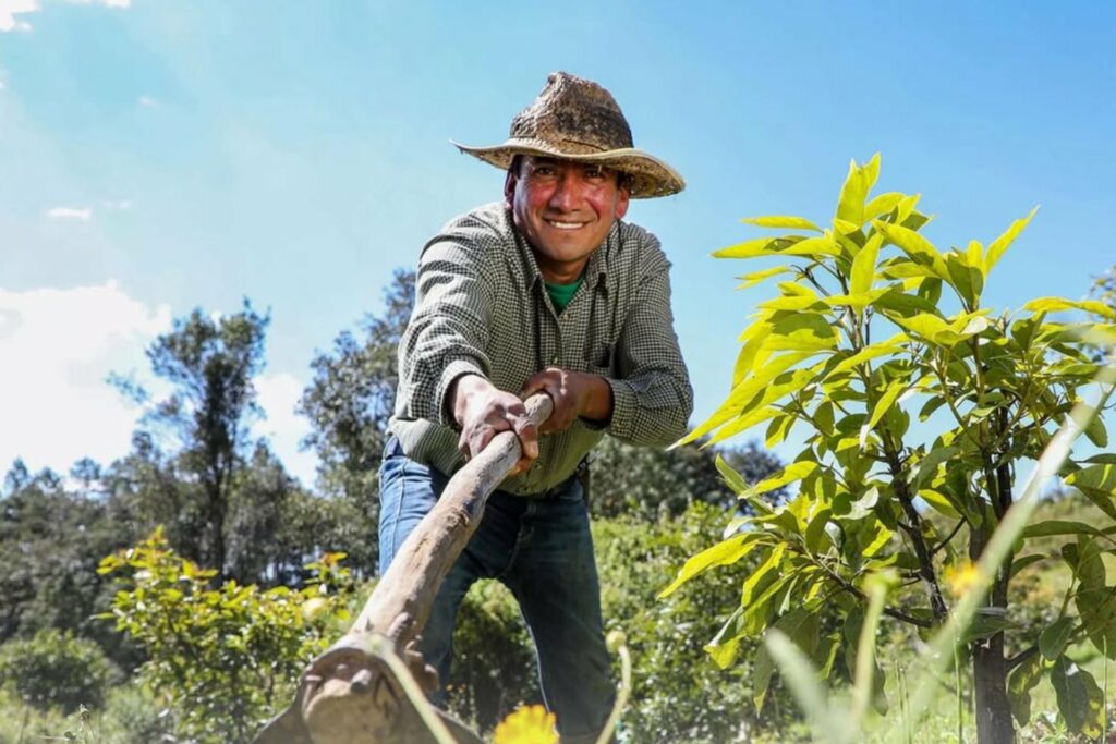 Secretaría del Bienestar confirma pago de 6 mil 450 pesos para beneficiarios de Sembrando Vida este 9 de septiembre de 2026