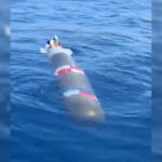 Marina entrega a EE.UU. torpedo hallado en aguas de Baja California