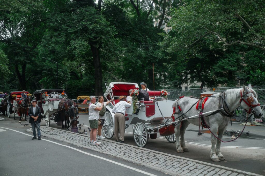 Nueva York se encamina a prohibir los carruajes tirados por caballos a partir de 2028