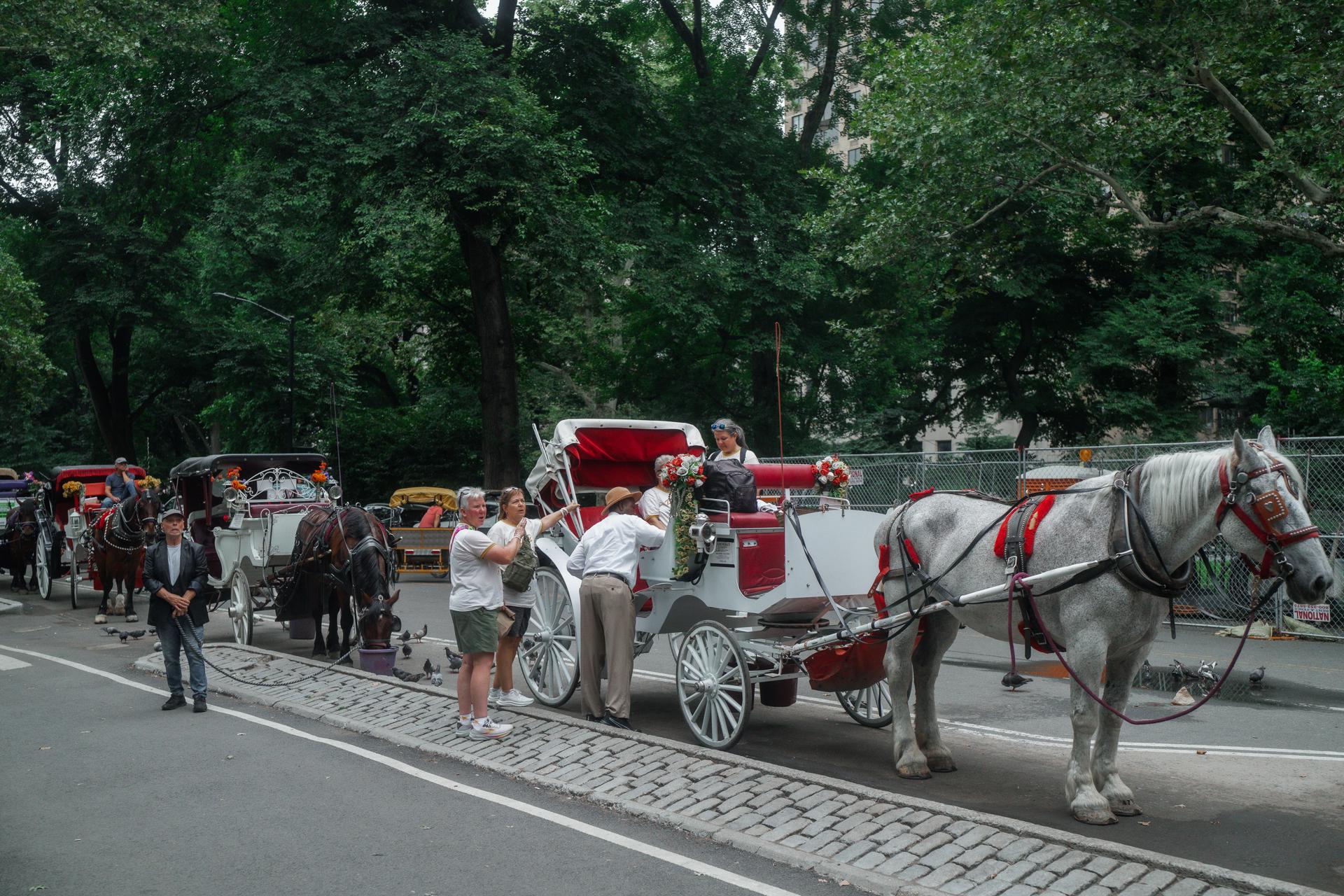 Nueva York se encamina a prohibir los carruajes tirados por caballos a partir de 2028