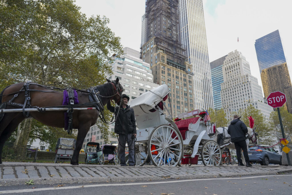 Nueva York aprueba la ley que prohibirá los carruajes tirados por caballos en junio 2028