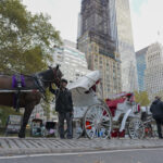 Nueva York aprueba la ley que prohibirá los carruajes tirados por caballos en junio 2028