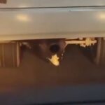 Adolescente se esconde debajo de autobús y viaja 70 Kilómetros en Querétaro