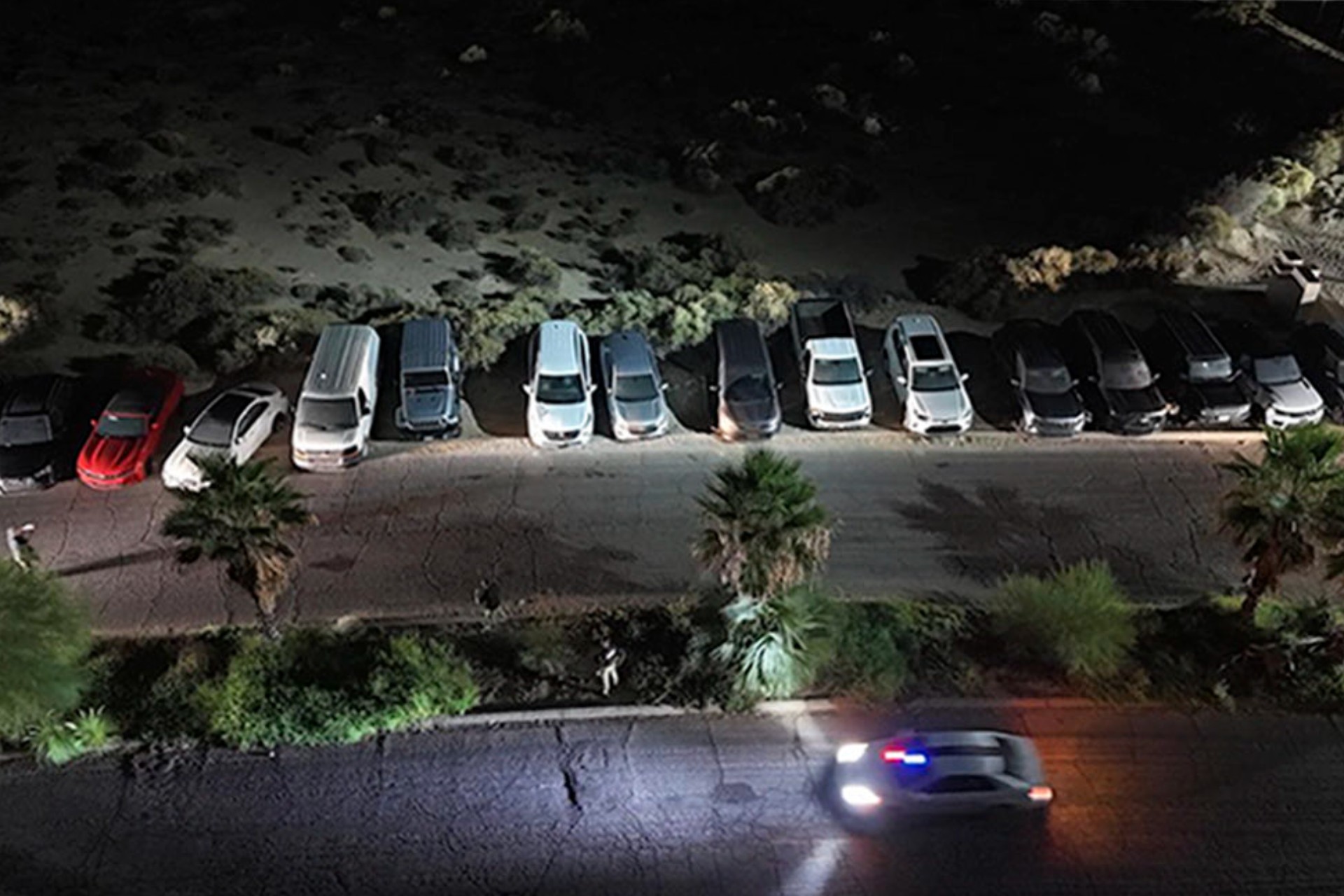 Aseguran 18 vehículos de lujo y droga en sótano de Puerto Peñasco, Sonora; 17 unidades cuentan con reporte de robo en EE.UU.