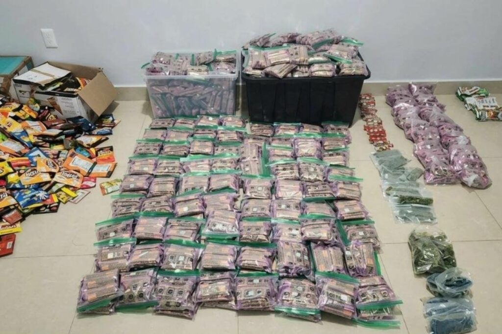 Decomisan droga en comestibles tras operativo en Mazatlán, Sinaloa