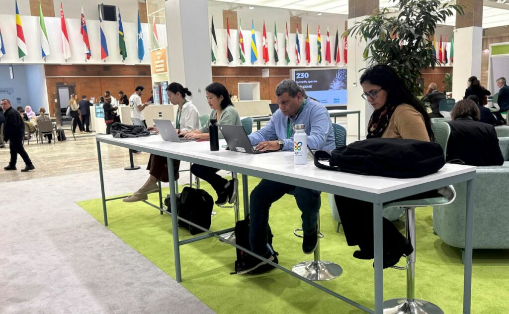 La COP17 arranca con el reto de acelerar la defensa de la biodiversidad La COP17 arranca con el reto de acelerar la defensa de la biodiversidad
