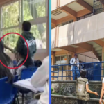 Denuncian maltrato animal tras video de un profesor empujando a un gato en Morelos