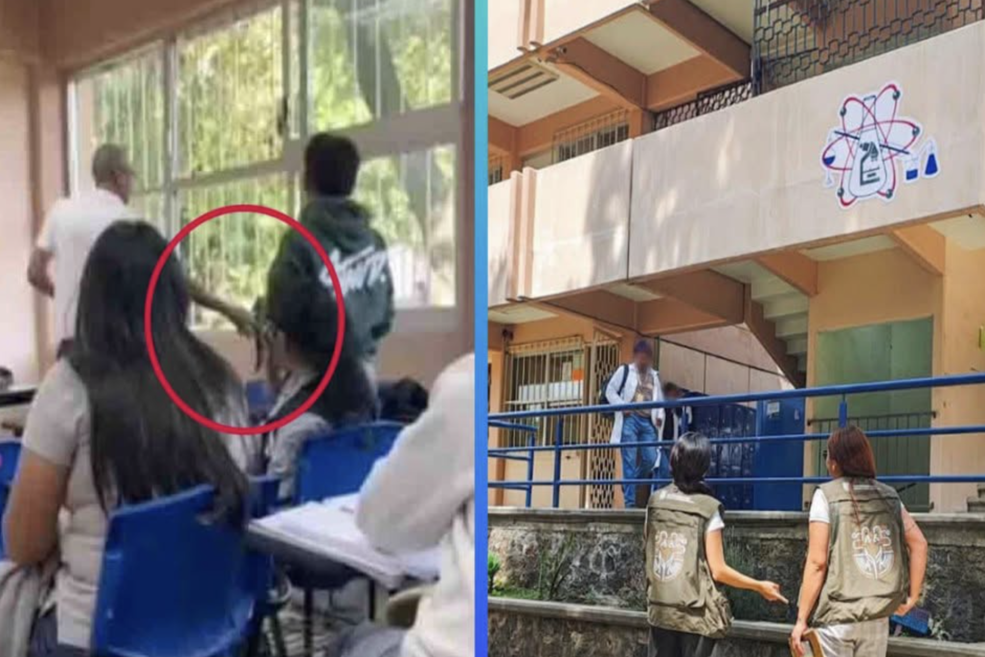 Denuncian maltrato animal tras video de un profesor empujando a un gato en Morelos Denuncian maltrato animal tras video de un profesor empujando a un gato en Morelos