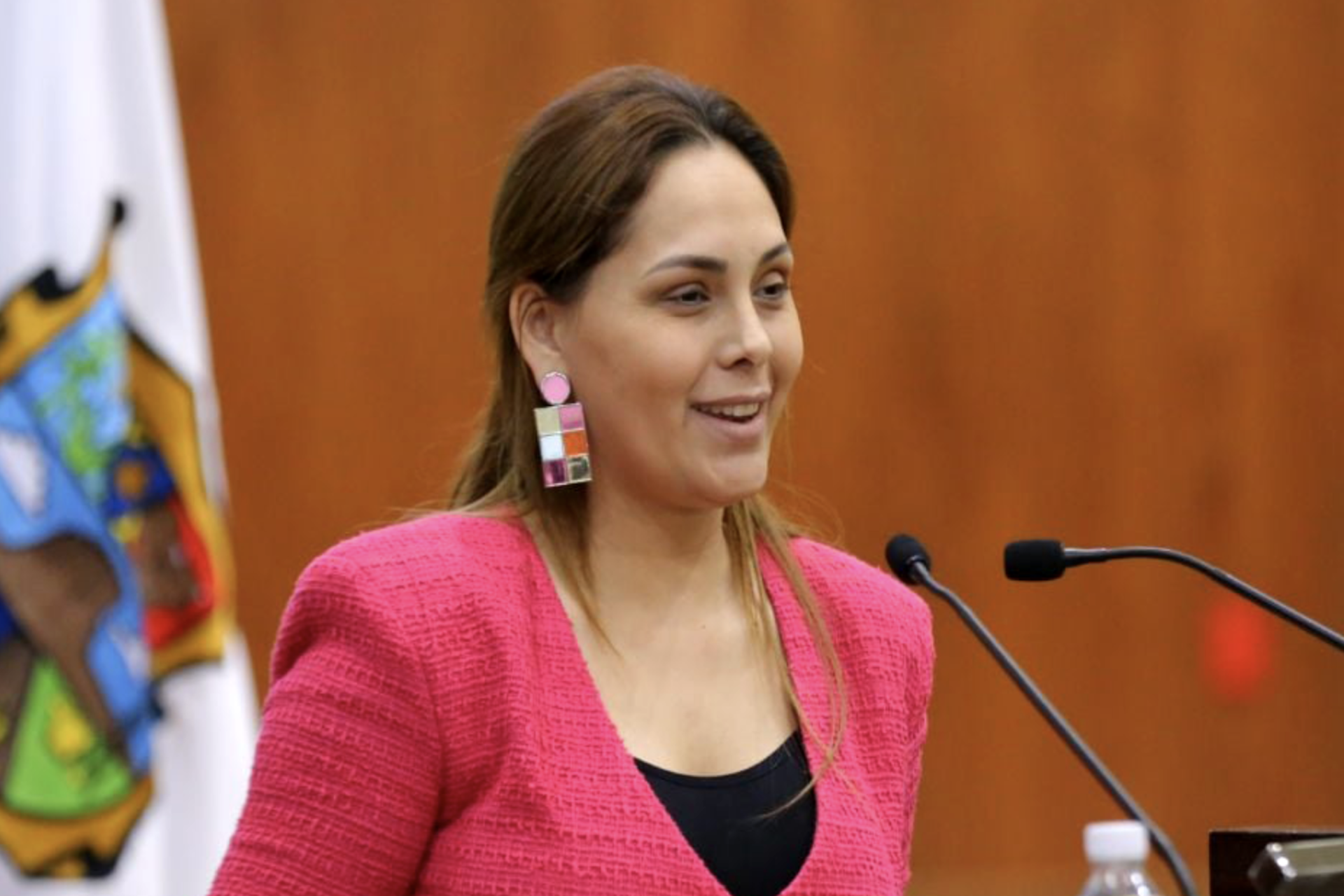 Diputada del Verde denuncia ataque con navaja en Río Bravo; pide protección