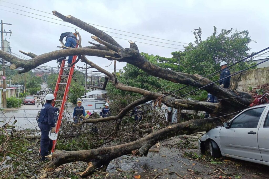 Alerta por Frente Frío 2: Llaman a extremar precauciones en siete estados