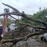 Alerta por Frente Frío 2: Llaman a extremar precauciones en siete estados