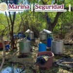 Inhabilitan laboratorio clandestino y aseguran precursores químicos en Sinaloa