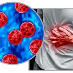 Investigaciones no logran vincular productos mexicanos con brotes de Salmonella y Cyclospora