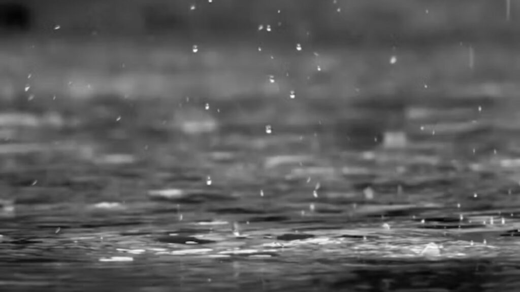 Los Ángeles se prepara para un El Niño histórico y un invierno potencialmente lluvioso - los-angeles-se-prepara-para-un-el-nino-historico-y-un-invierno-potencialmente-lluvioso-1-1024x576