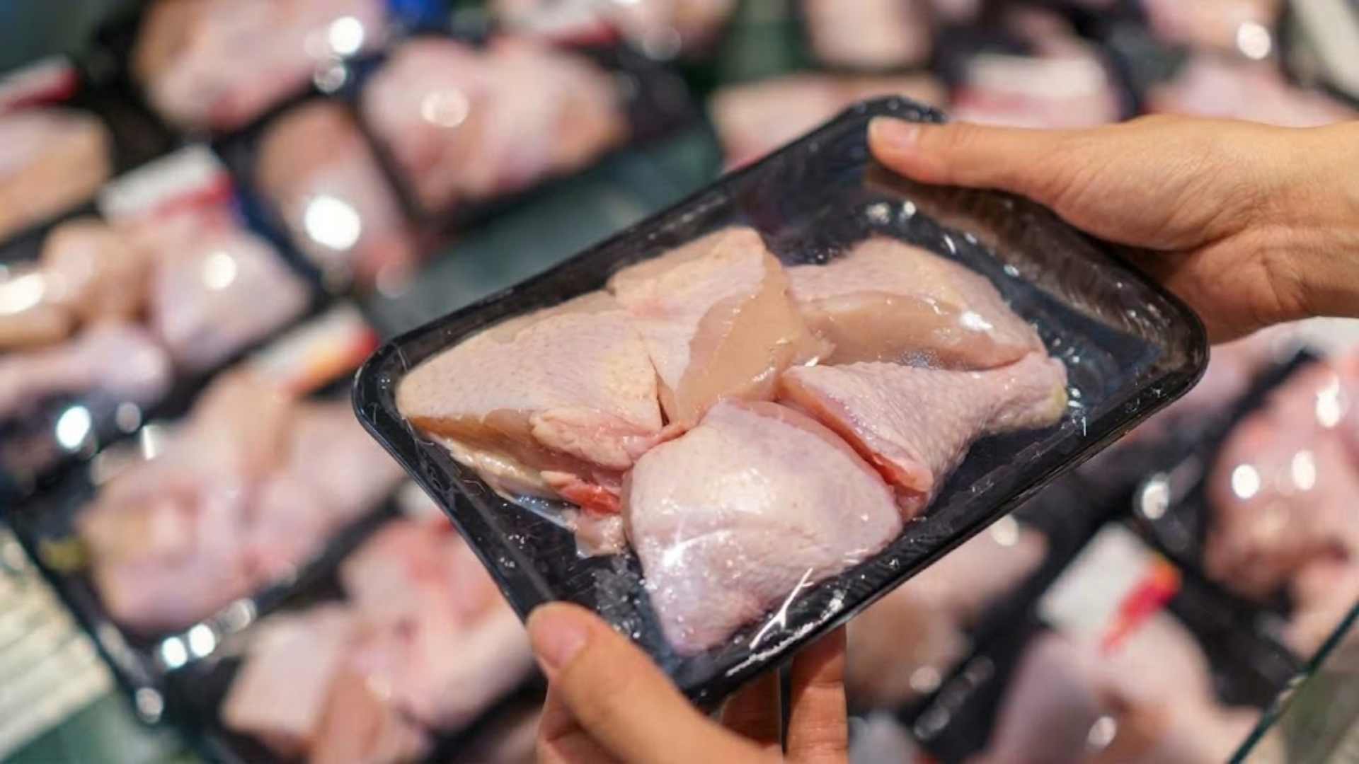 México suspende importaciones avícolas de Brasil ante brote de la enfermedad de Newcastle México suspende importaciones avícolas de Brasil ante brote de la enfermedad de Newcastle