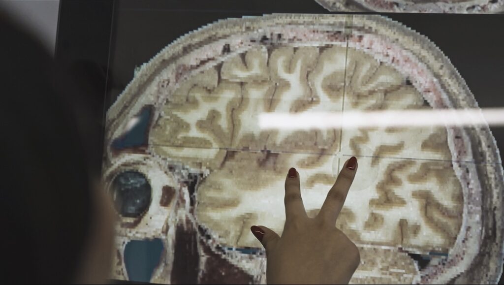 UNAM desarrolla nanovehículos para dirigir medicamentos al cerebro y a tumores - ok-nanovehiculos-eh-7jpg-1024x579