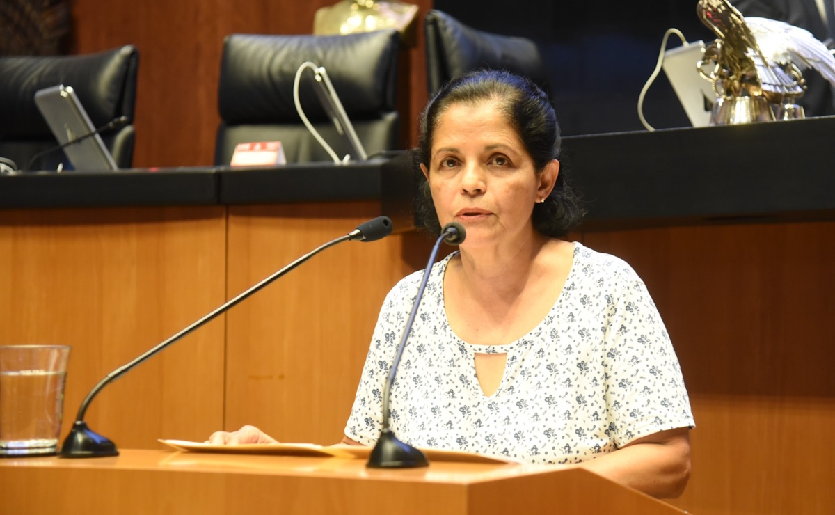 Partido Verde destaca vigilancia ambiental tras aseguramiento de fauna en Oaxaca