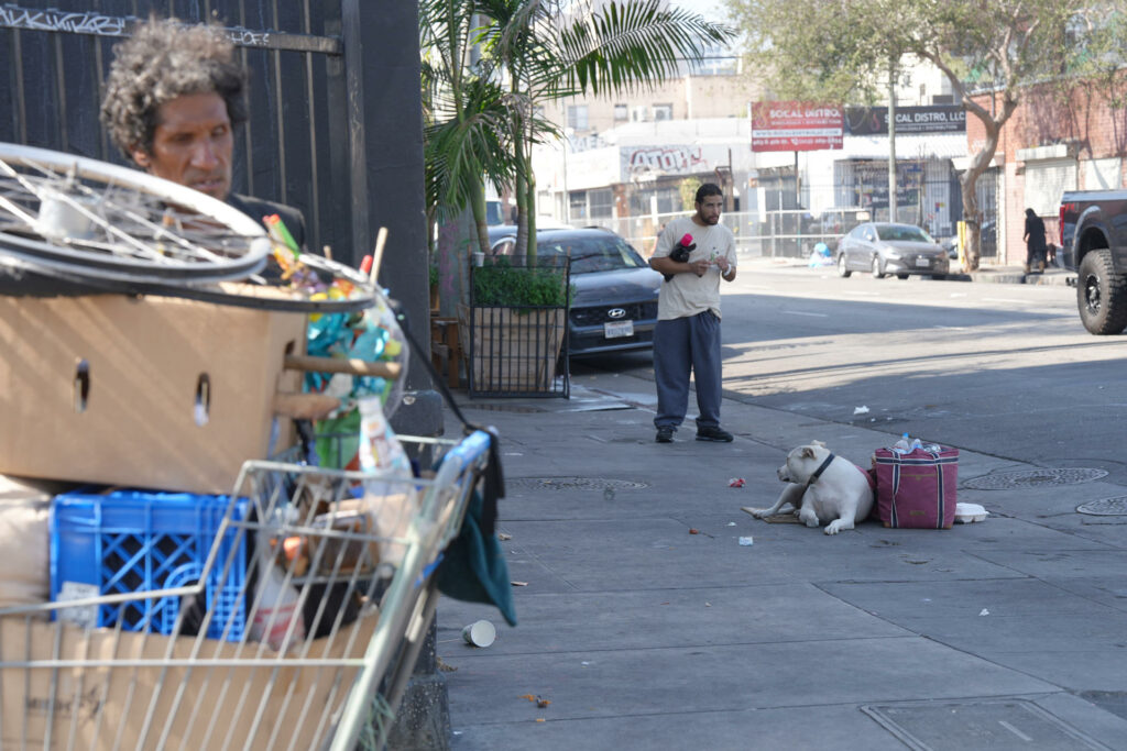 Perros atados, heridos y sin agua, la otra realidad de la crisis de indigencia en Los Ángeles