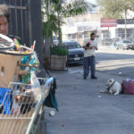 Perros atados, heridos y sin agua, la otra realidad de la crisis de indigencia en Los Ángeles