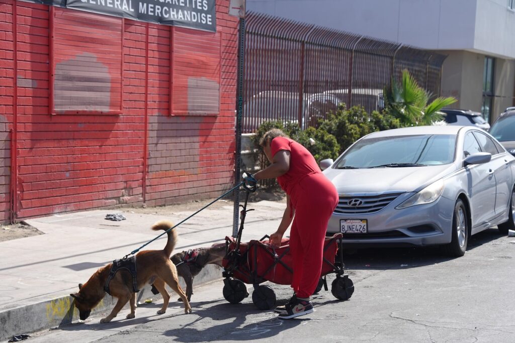 Perros atados, heridos y sin agua, la otra realidad de la crisis de indigencia en Los Ángeles - perros-atados-heridos-y-sin-agua-la-otra-realidad-de-la-crisis-de-indigencia-en-los-angeles-2-1024x683