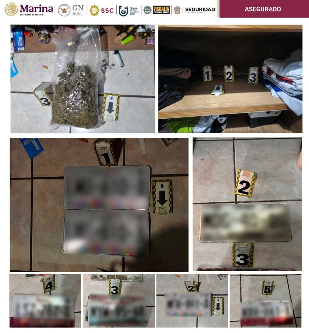 Recuperan autos de lujo robados de edificio en la colonia Anzures - placas-y-droga-aseguradas-a-ladrones-de-autos