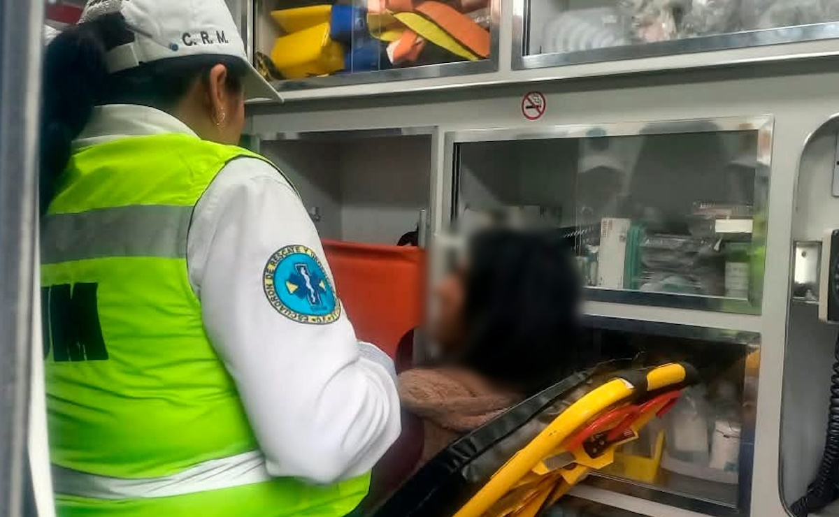 Policías auxilian a mujer que subió a una torre eléctrica en Tlalpan Policías auxilian a mujer que subió a una torre eléctrica en Tlalpan
