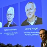 Dan Premio Nobel de Medicina 2026 a tres investigadores de la optogenética