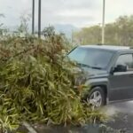 Video: Atropellan a reportera y camarógrafo durante transmisión en vivo en Monterrey, NL