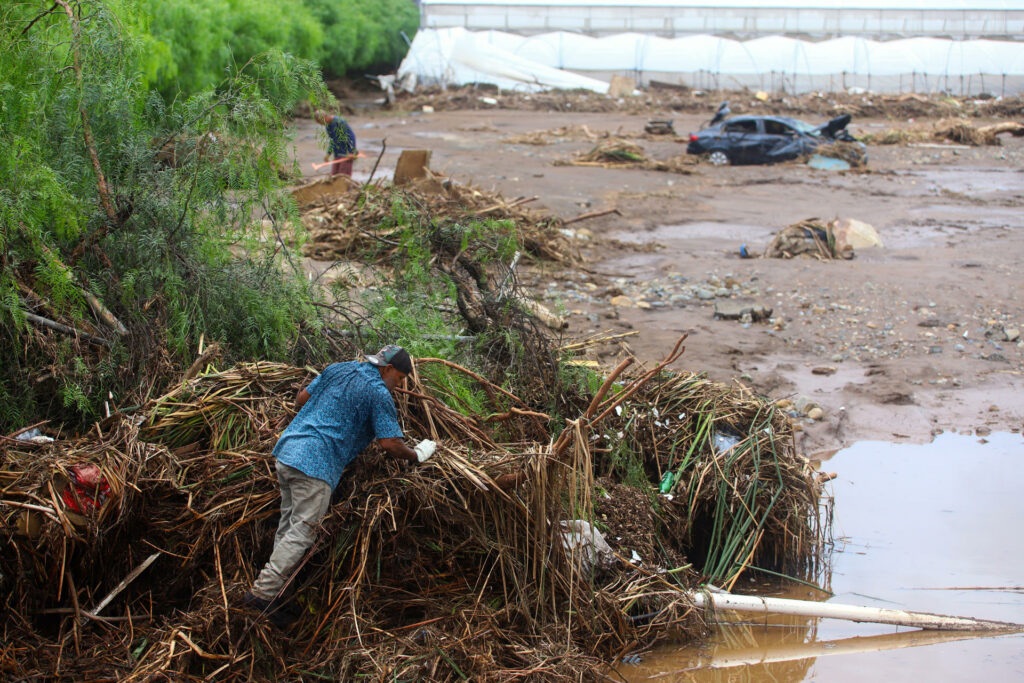 Sheinbaum anuncia apoyo a Baja California tras mil 500 viviendas afectadas por ‘Rachel’