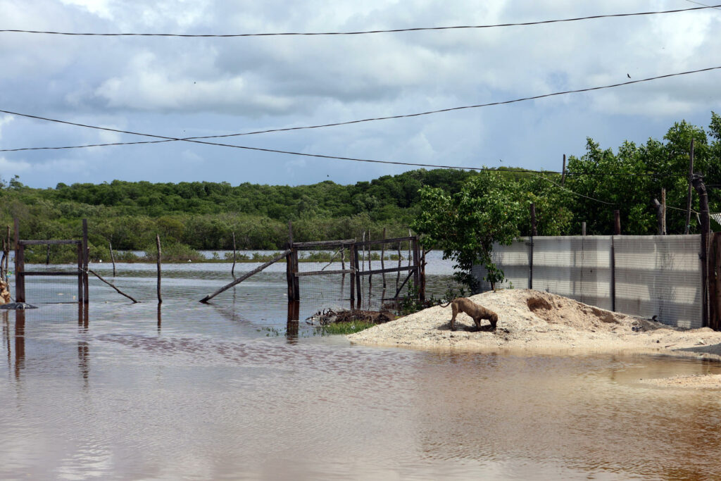 Simon sube a categoría 2 y hoy podría convertirse en huracán mayor