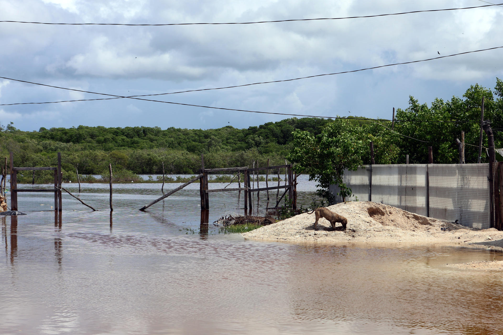 ‘Simon’ sube a categoría 2 y hoy podría convertirse en huracán mayor