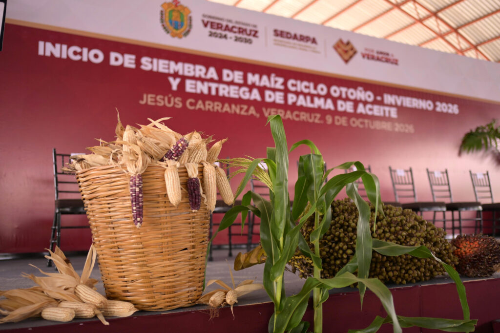 Veracruz impulsa su campo y ganadería para fortalecer la soberanía alimentaria nacional - whatsapp-image-2026-10-13-at-54417-pm-1024x682